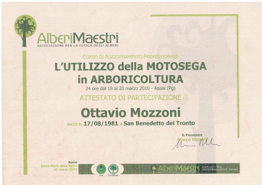 Motosega in arboricoltura